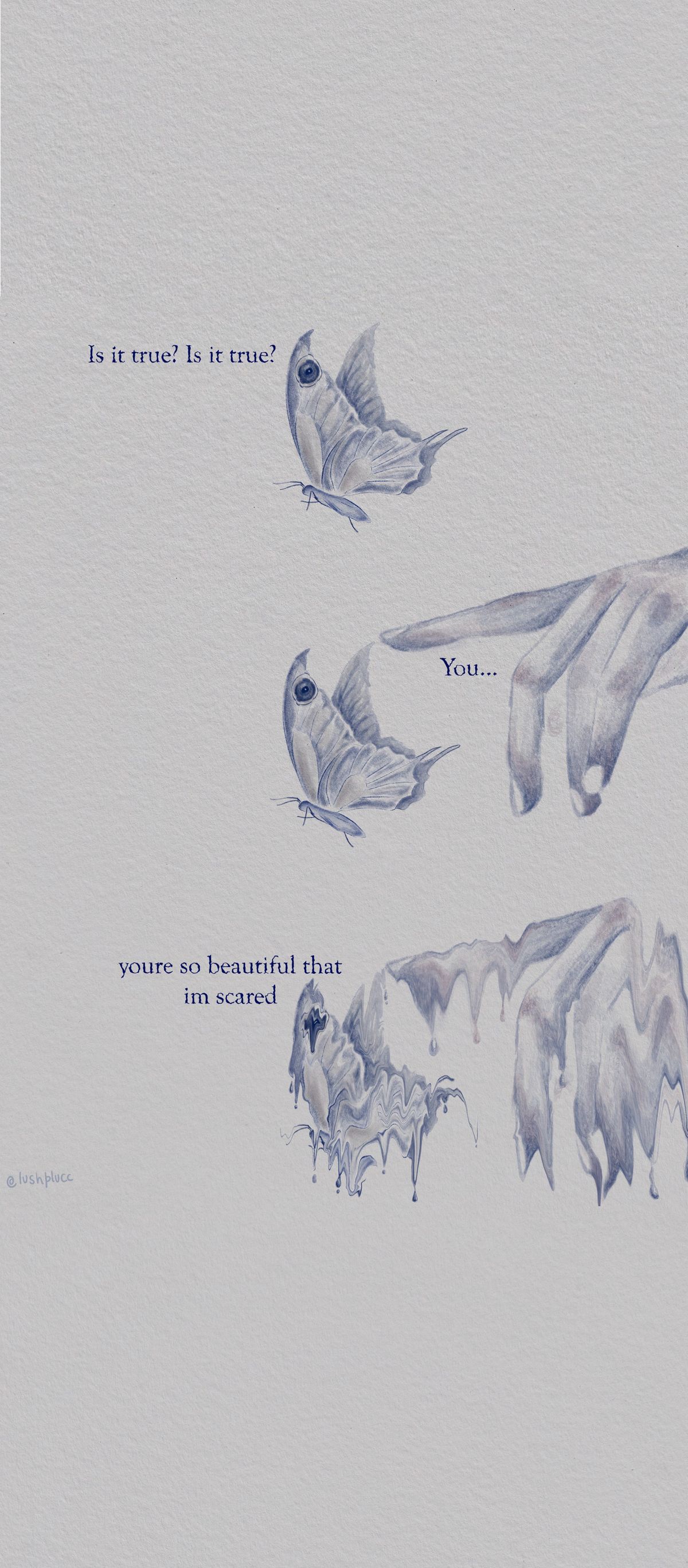 Butterfly wallpaper