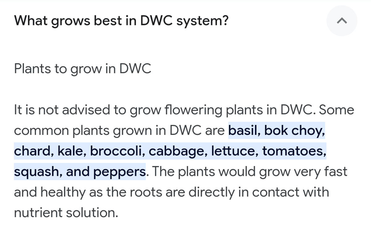 What grows best in dwc
