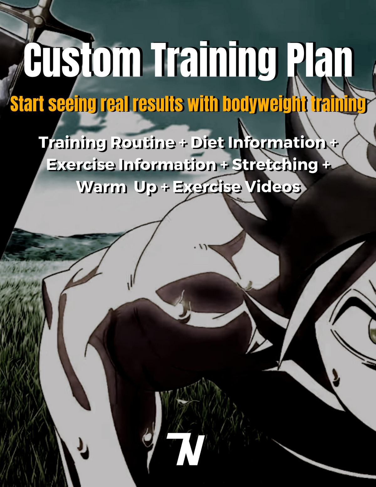 Custom Training Plan
