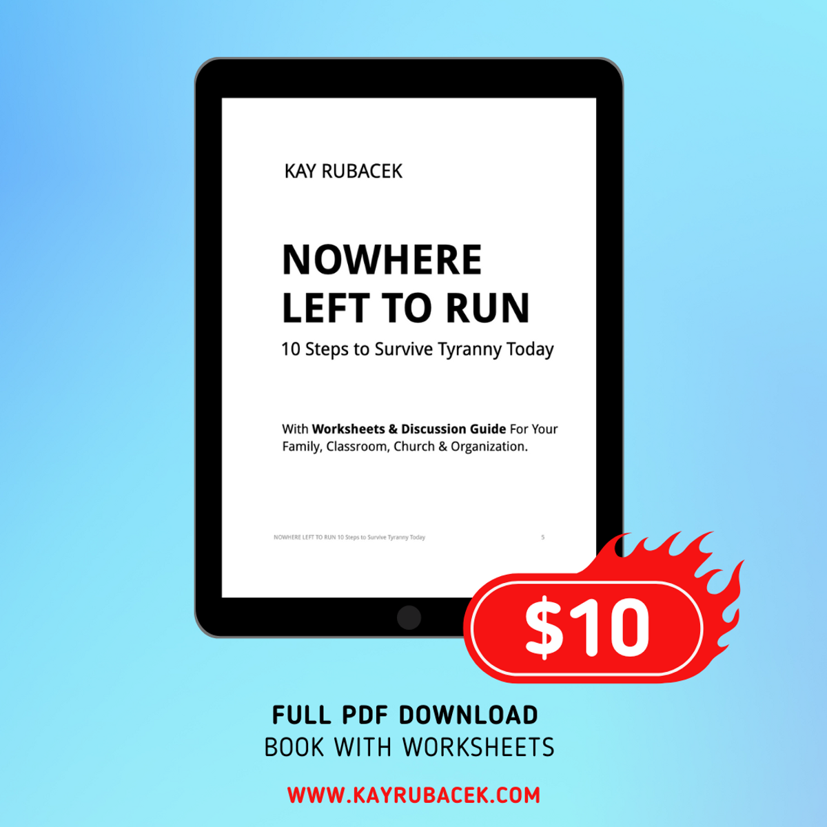 FULL PDF DOWNLOAD of Book & Worksheets (Letter Size Pages)