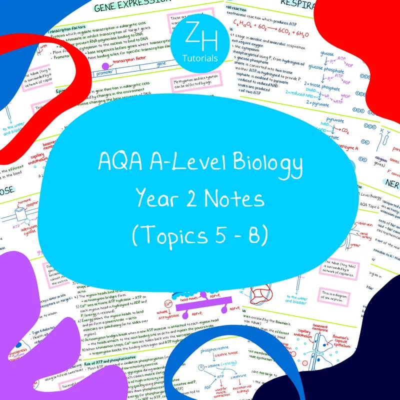 Zoe Huggett Tutorials Is Creating A-Level Biology Revision Resources ...