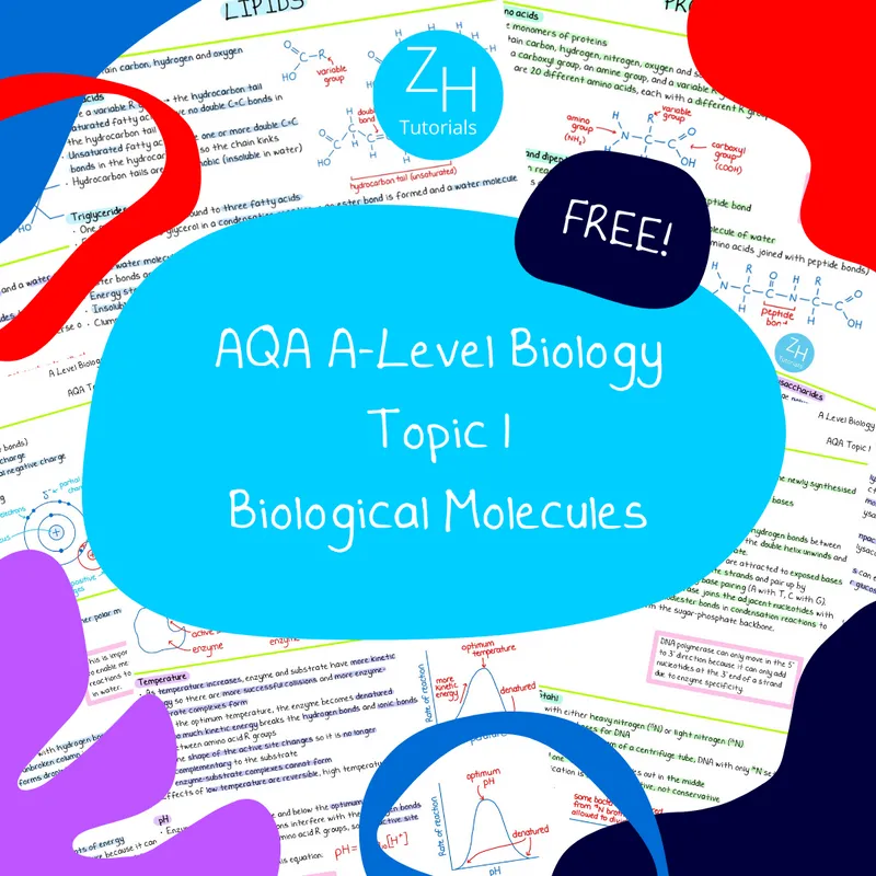 Zoe Huggett Tutorials Is Creating A Level Biology Revision Resources