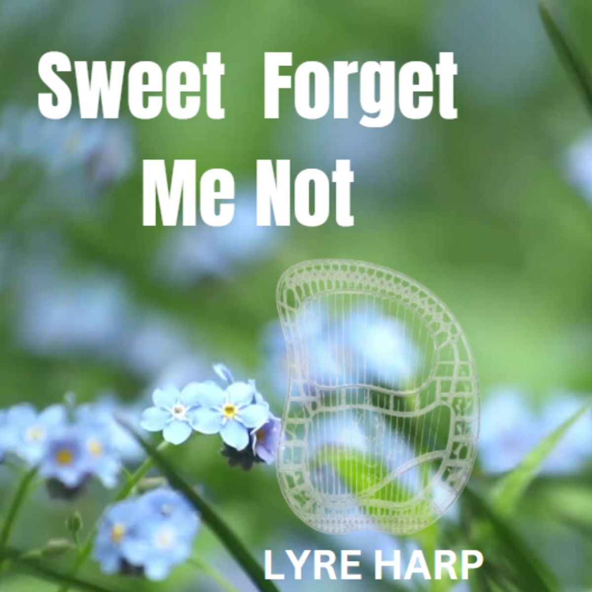 Sweet Forget Me Not