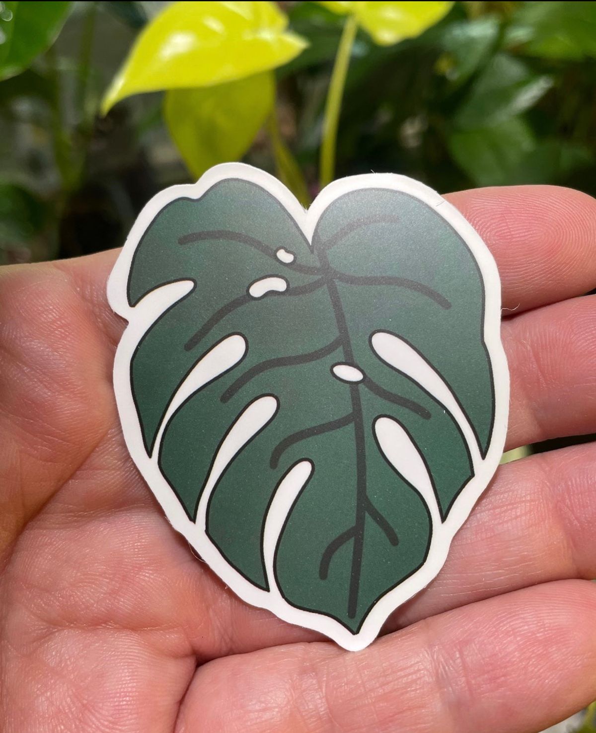 Monstera leaf Planty sticker