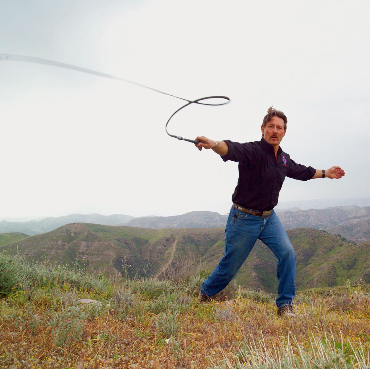 Mastering the Bullwhip - Volume 2