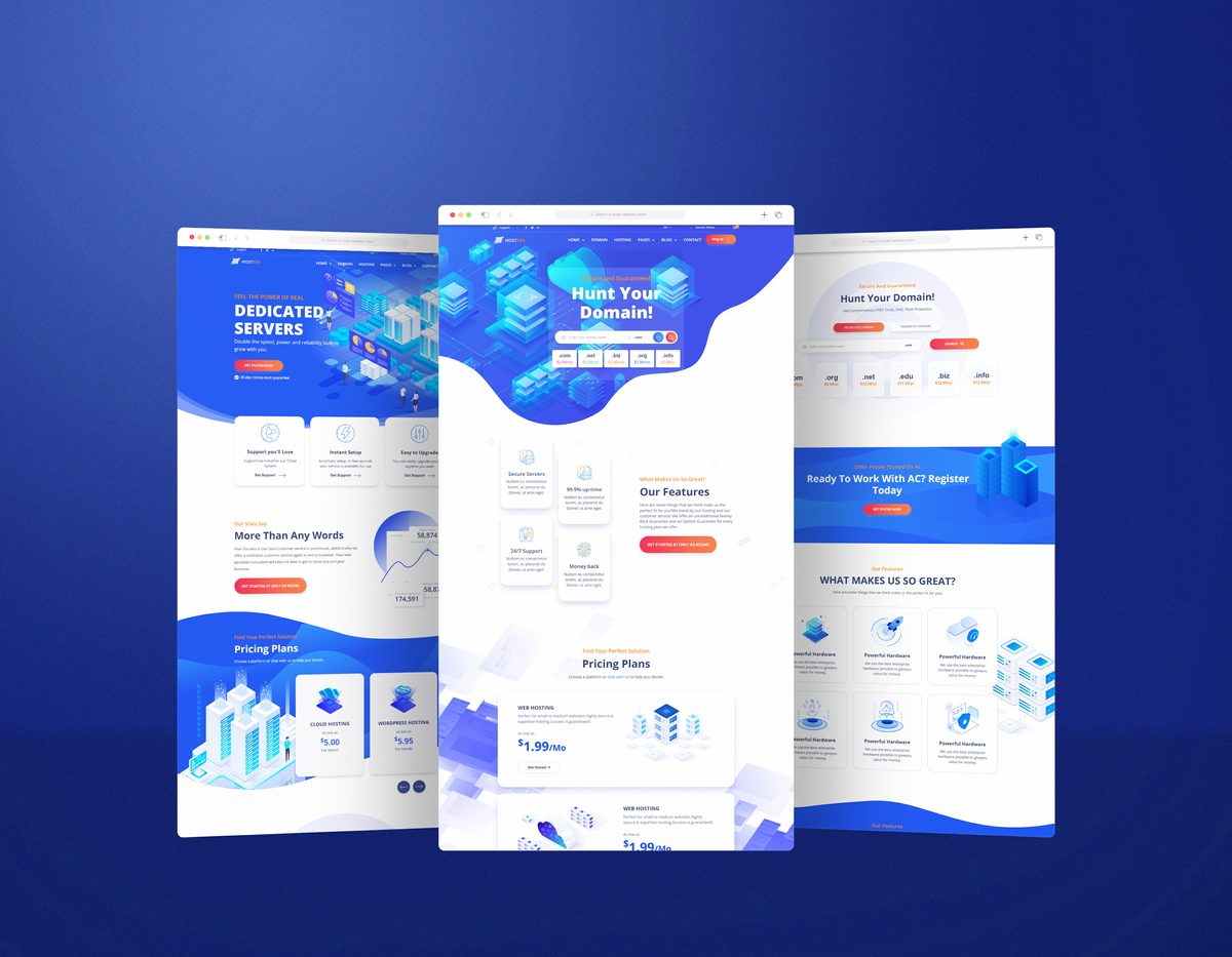 Hosting Server Website