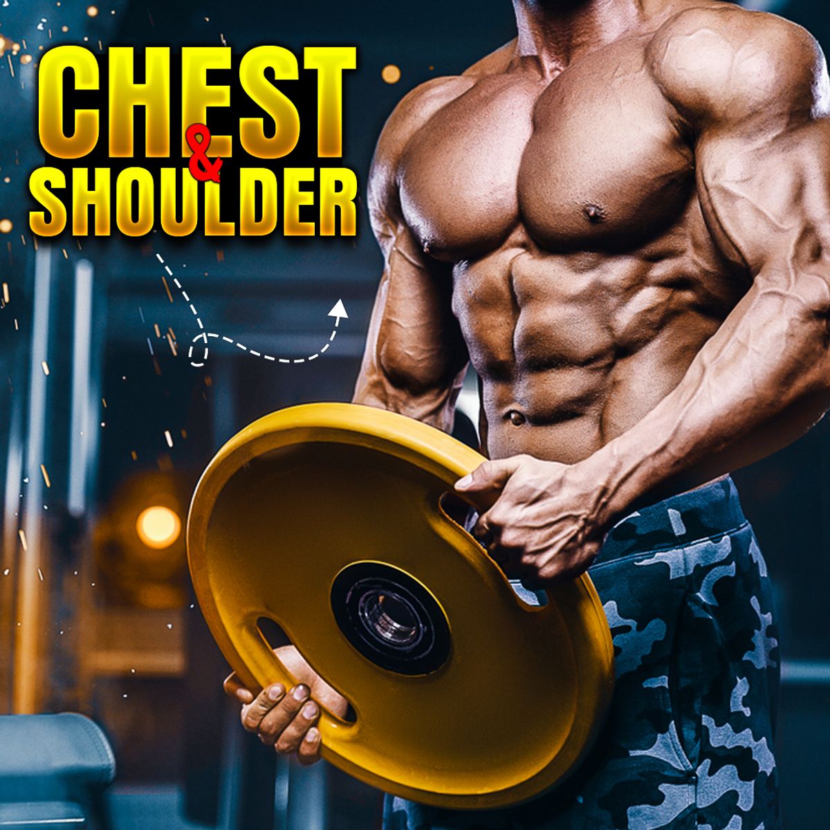 A Comprehensive Chest and Shoulders Training Course  -  a $300 value