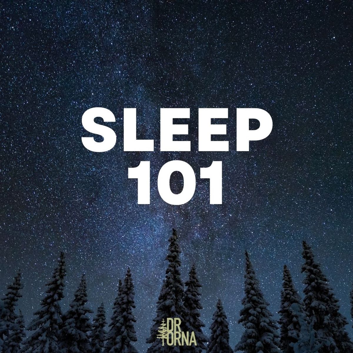 Sleep 101 (webinar)