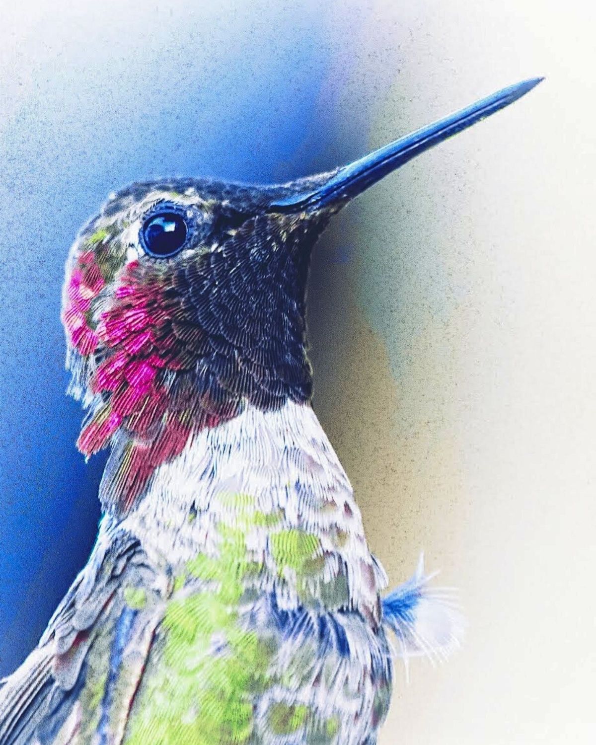 Digital Art Download