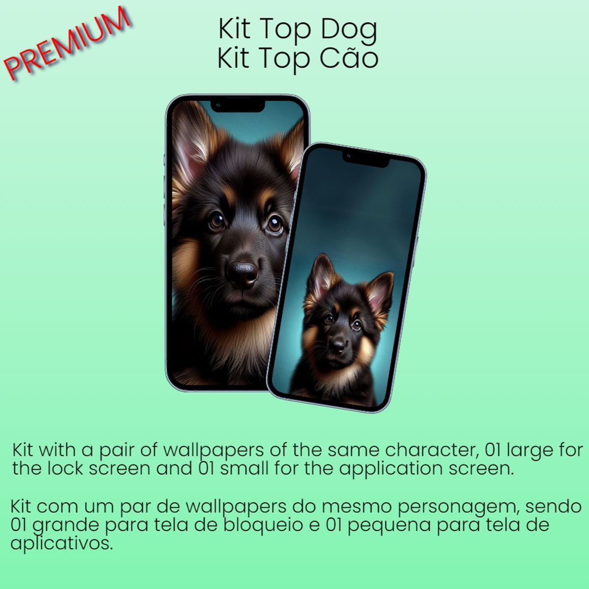 Kit Dog - 2 Images