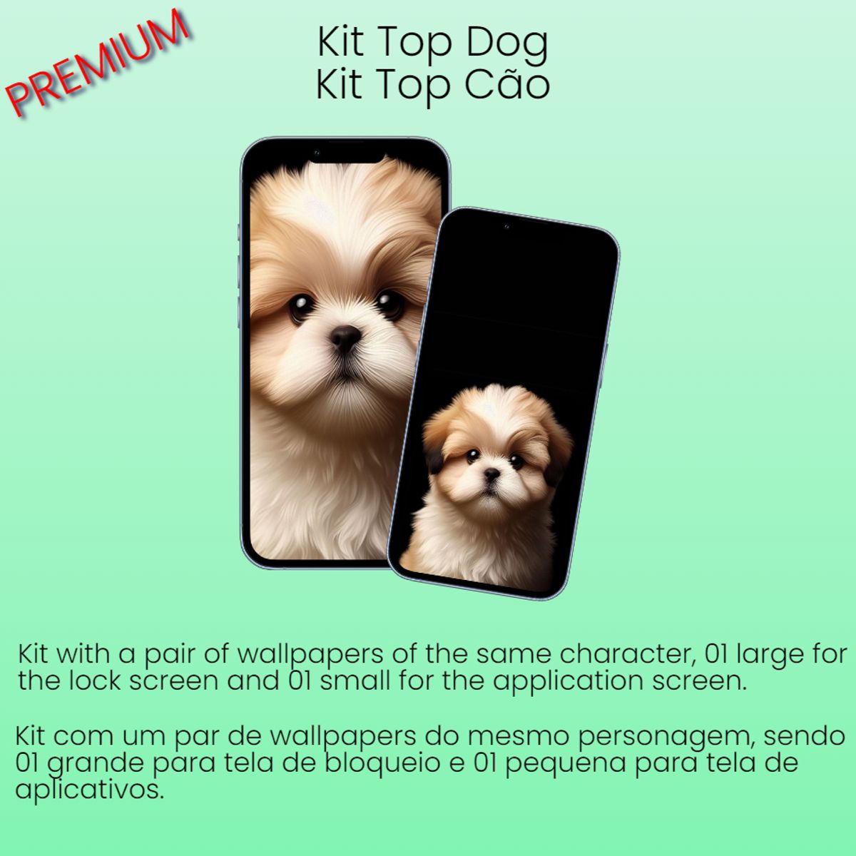 Kit Dog - 2 Images