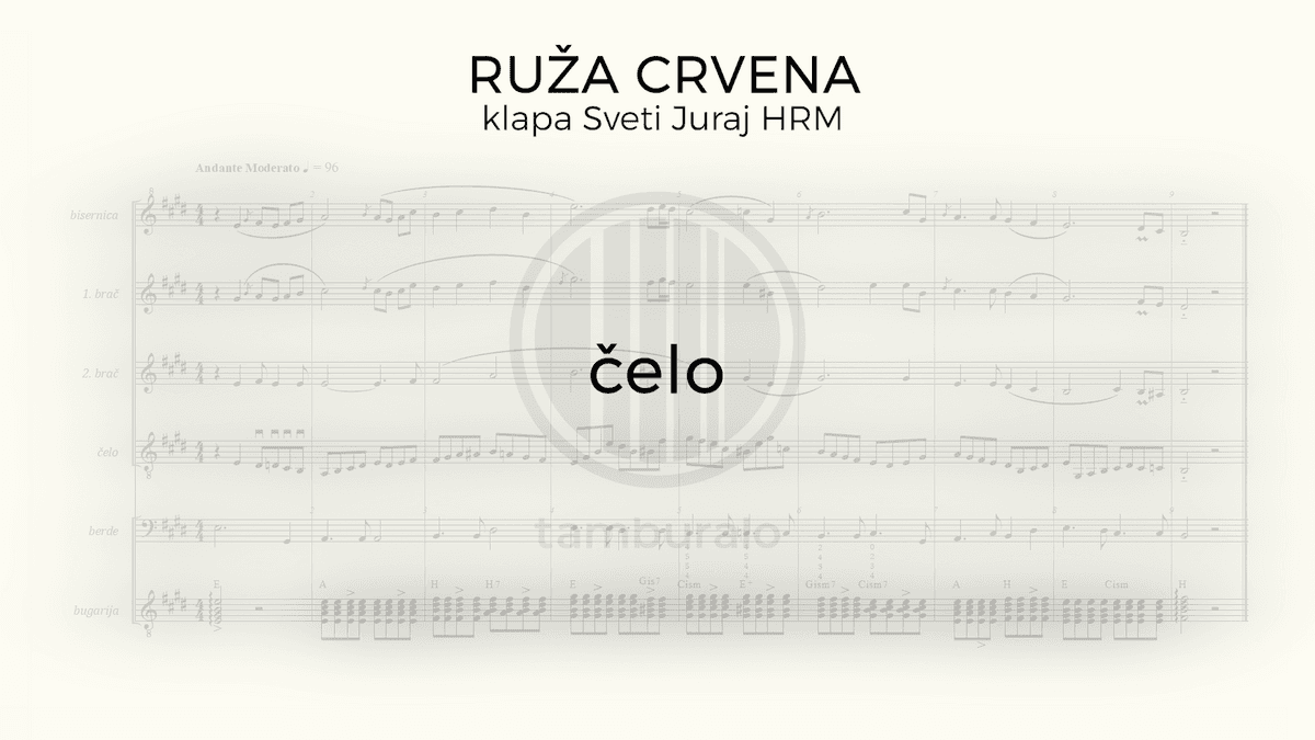 Ruža Crvena | ČELO