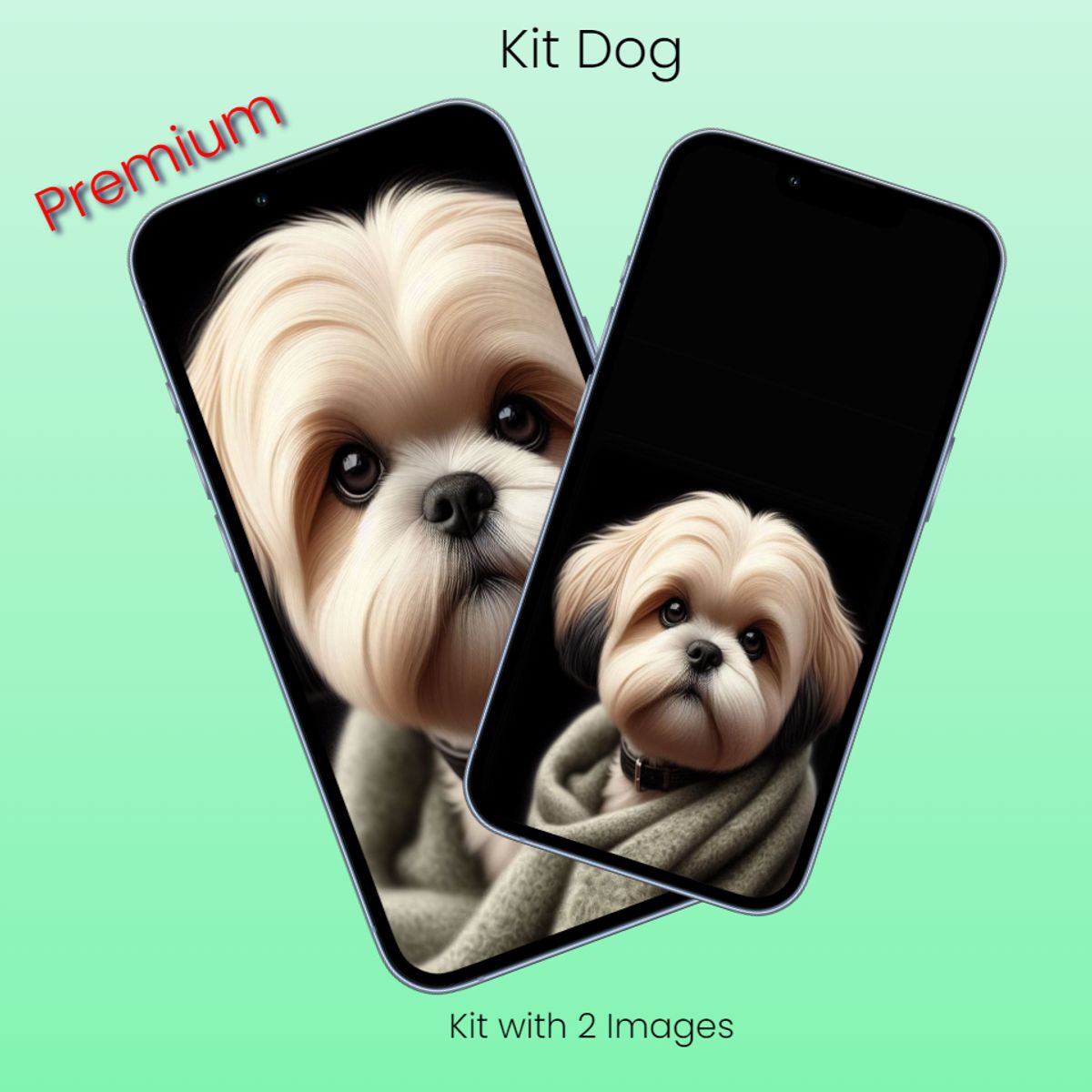 Kit Dog - 2 Images