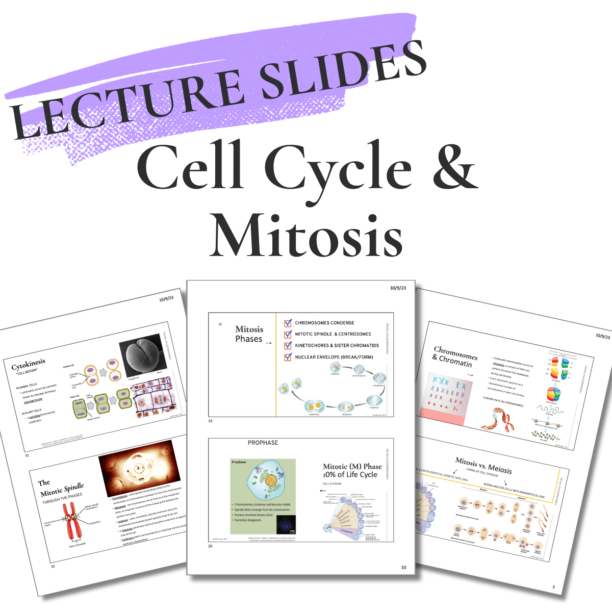 The Cell Cycle and Mitosis_Lecture Slides PDF