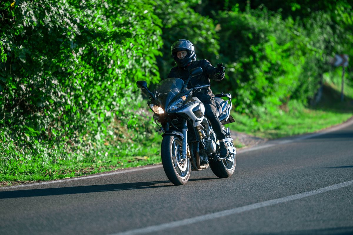 Download Photo (5 Iulie 2024)
