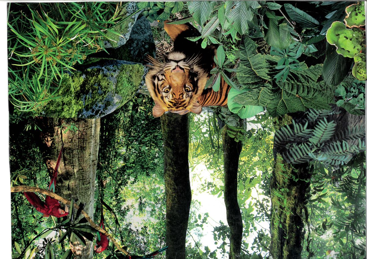 The Tyger That Came To Be