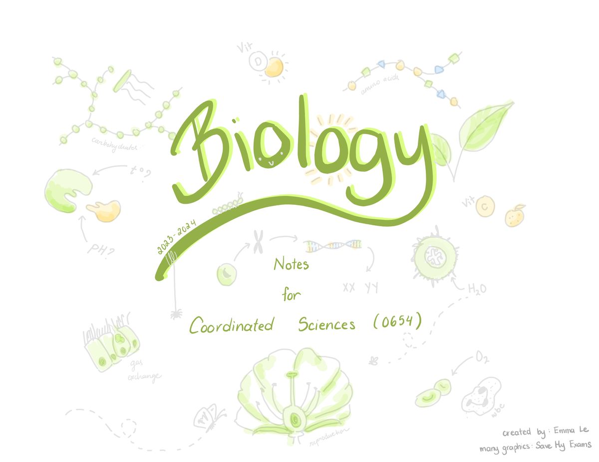 IGCSE Biology, Chemistry, Maths, and Physics hand-written Notes.