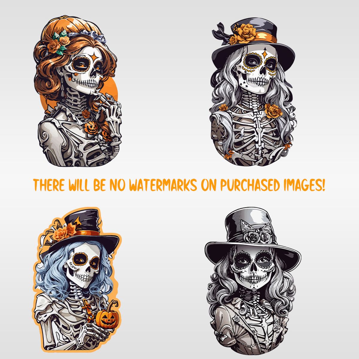 Halloween Witch Skeleton Girl With Pumpkin and Hat Skeleton