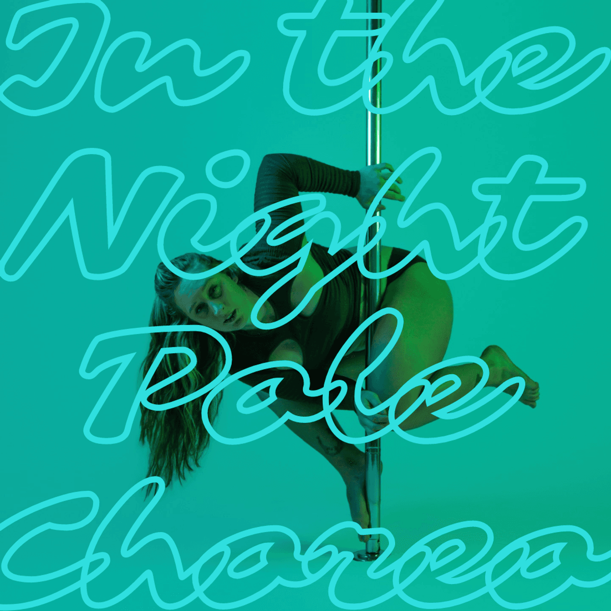 Pole Choreo - In The Night