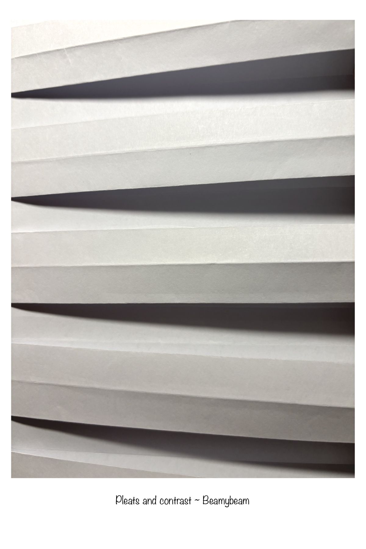 Pleat 1