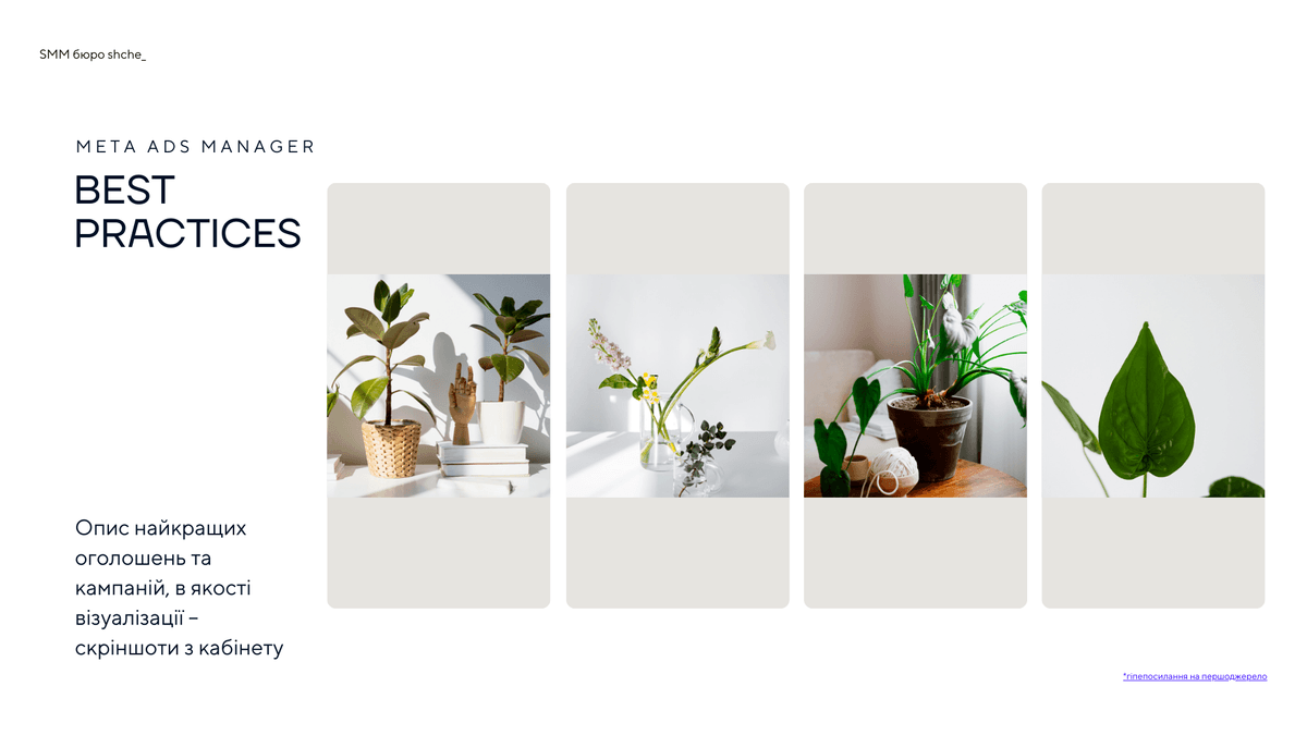 Шаблон SMM-звіту (Canva)
