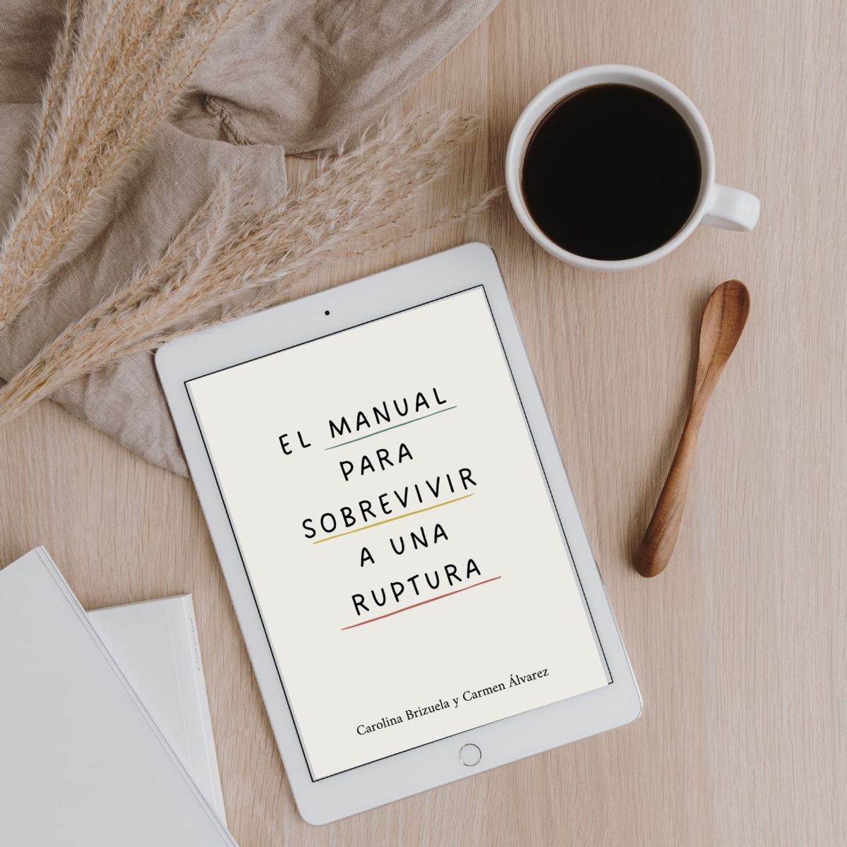 El Manual para Sobrevivir a una Ruptura