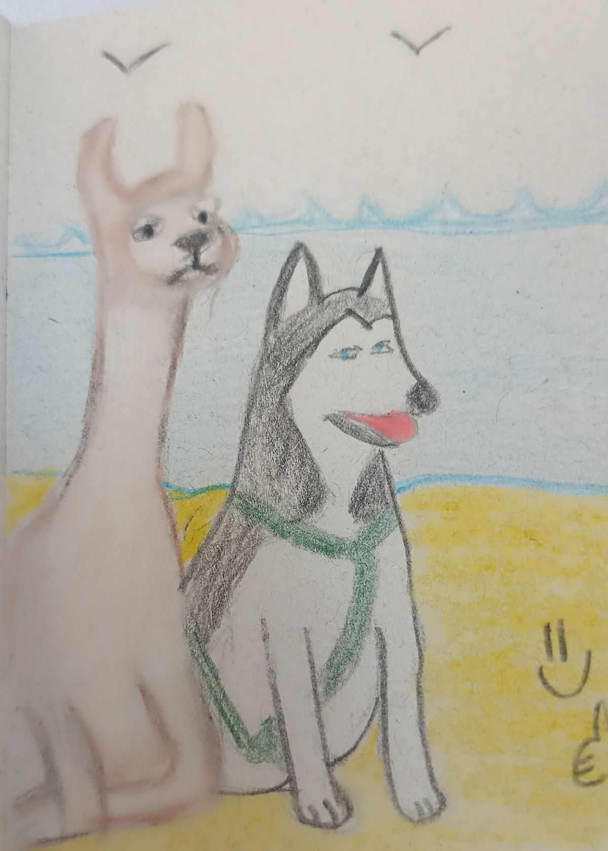 Tulia y una llama en las costas peruanas