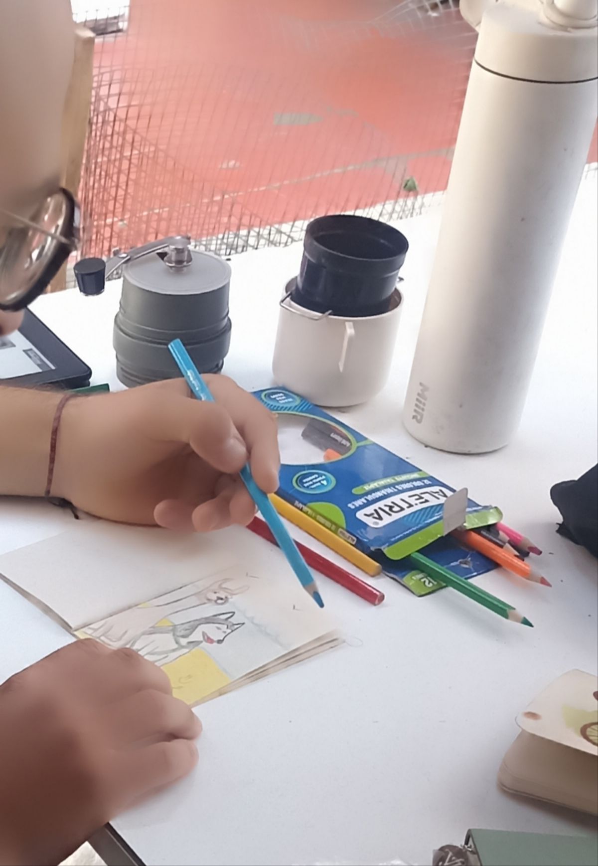 Tulia y una llama en las costas peruanas