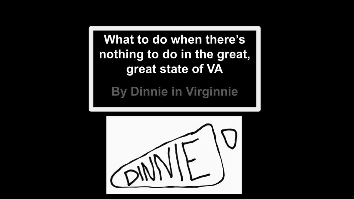 What to do when there's nothing to do in the great, great state of VA Version 1 (Ebook)