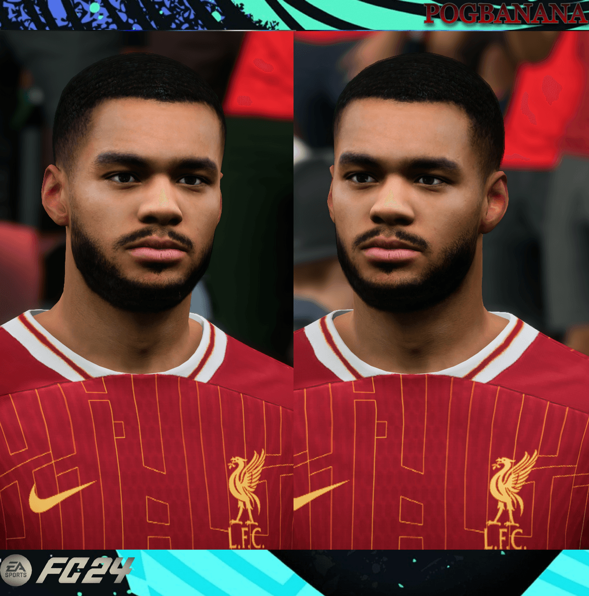 [FC 24] Cody Gakpo