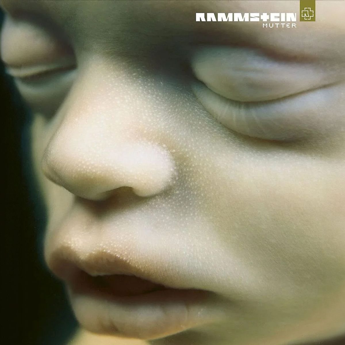 Rammstein - Ich Will (Isolated)