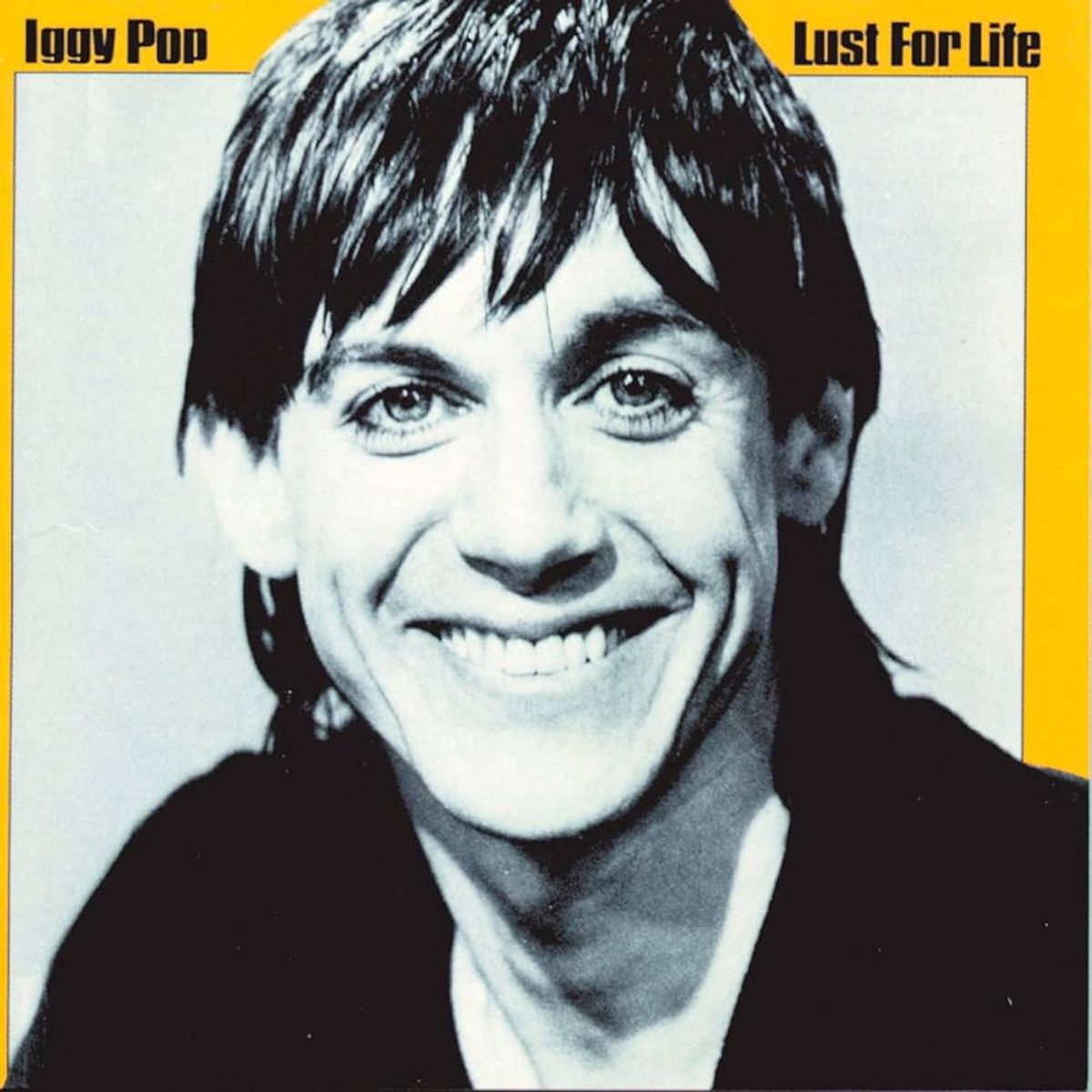 Iggy Pop - The Passenger (Isolated)
