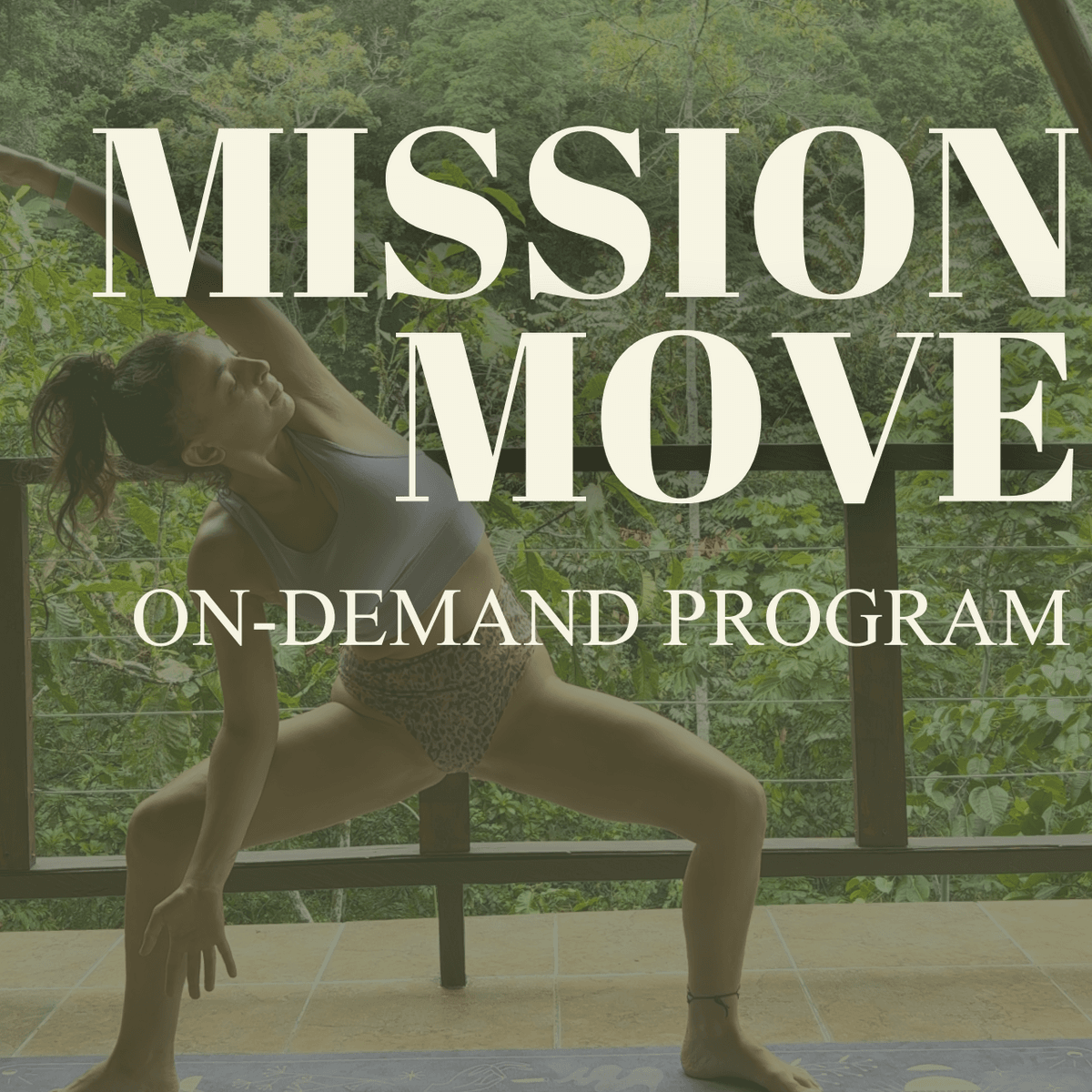 MISSION MOVE: on-demand program