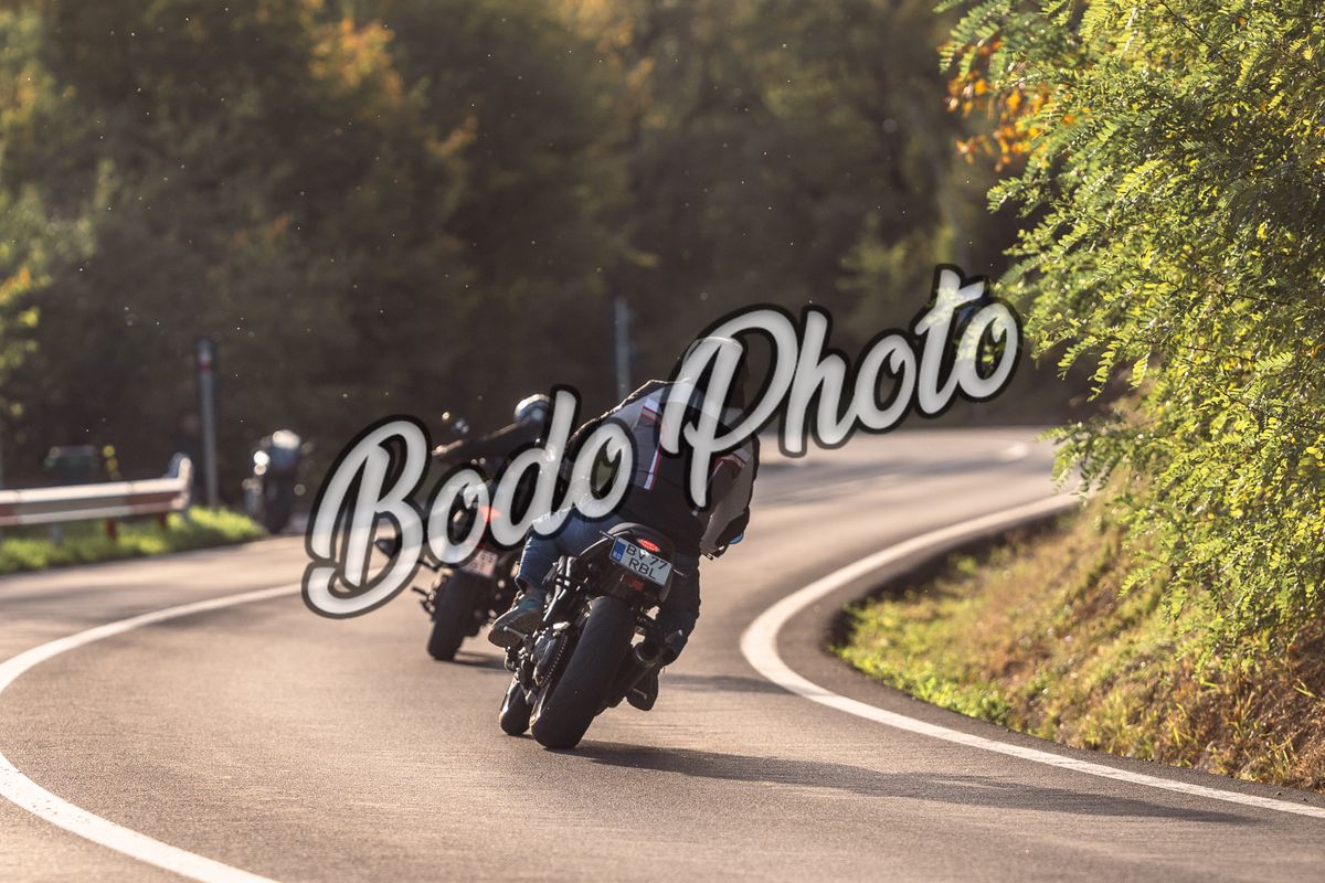 Download Photo ( 8 Octombrie )