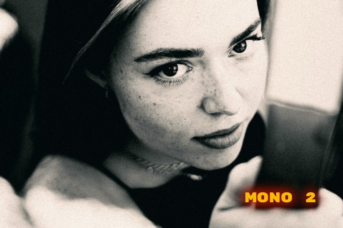 6 MONO PRESETS for Lightroom, Lightroom Classic and Photoshop