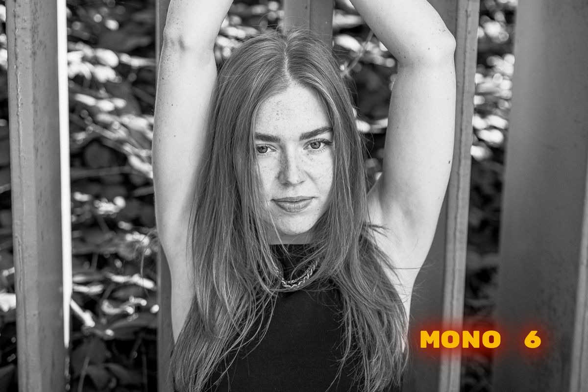6 MONO PRESETS for Lightroom, Lightroom Classic and Photoshop