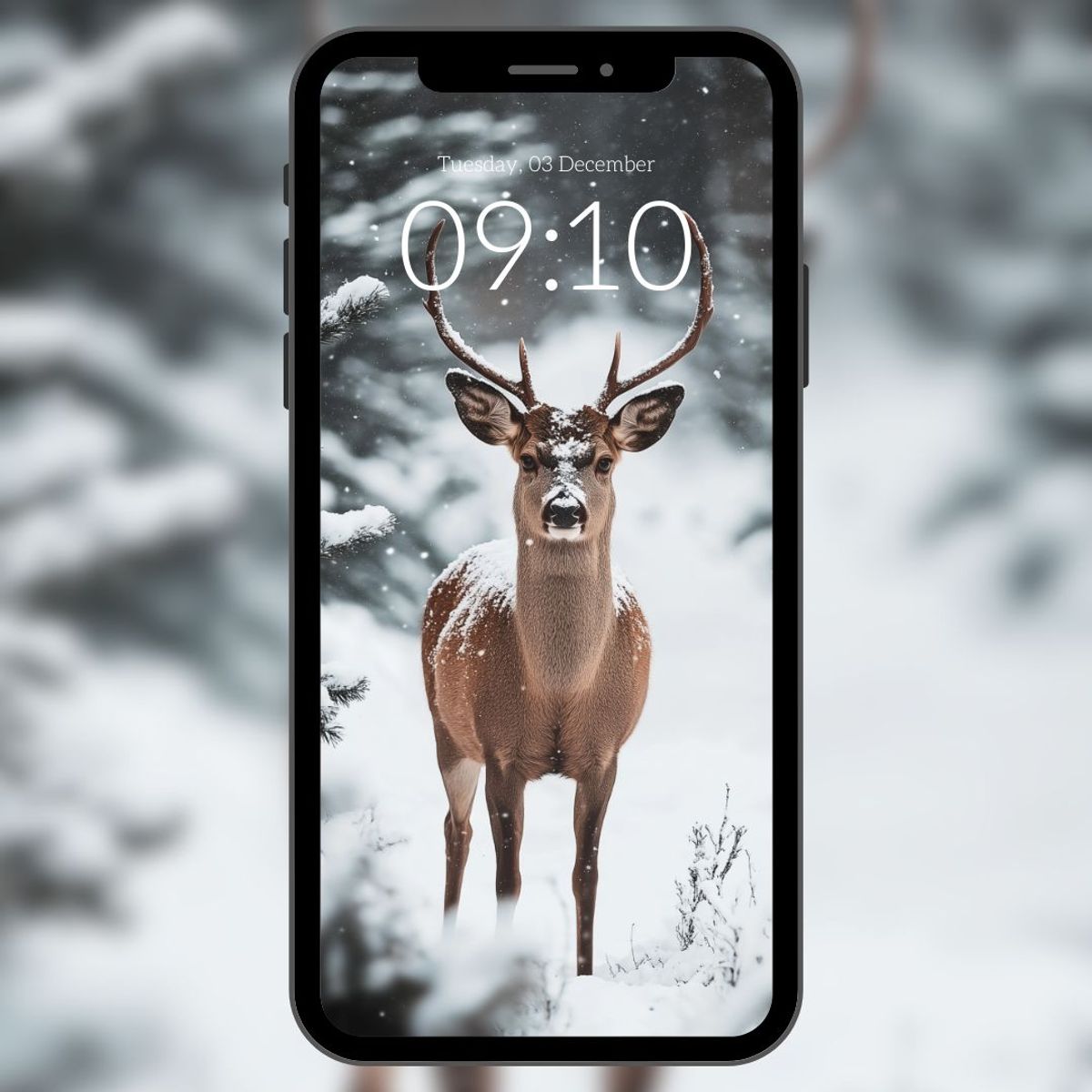 ✨ Wallpaper - Christmas Collection ✨