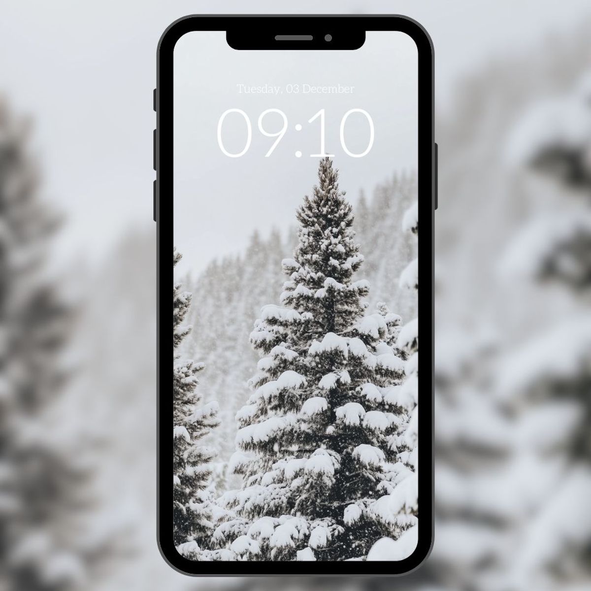 ✨ Wallpaper - Christmas Collection ✨