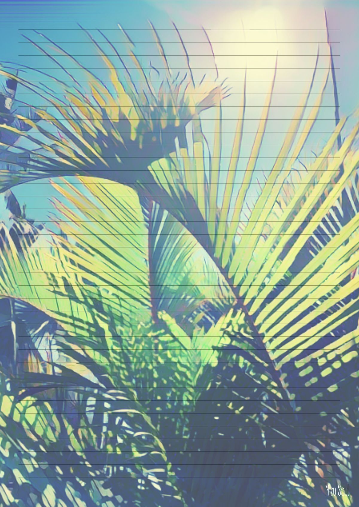 STATIONARY - fern