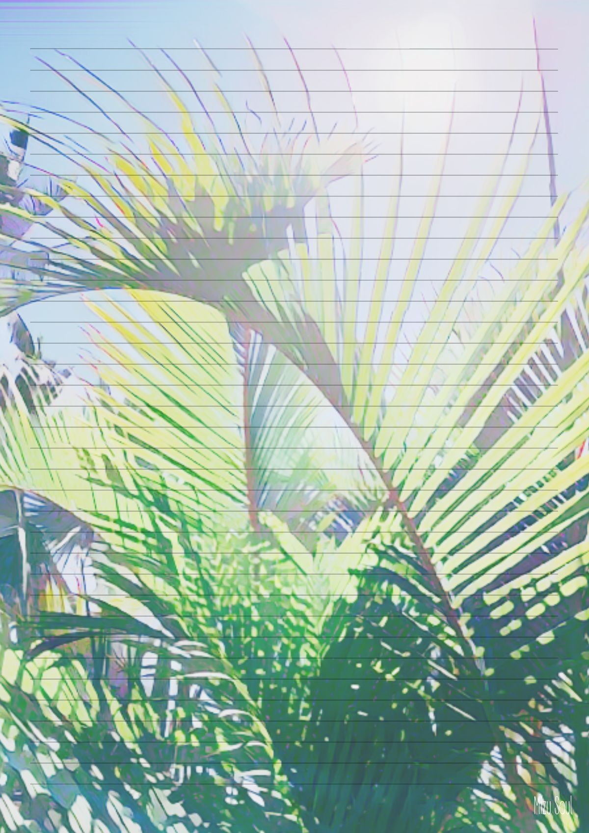 STATIONARY - fern