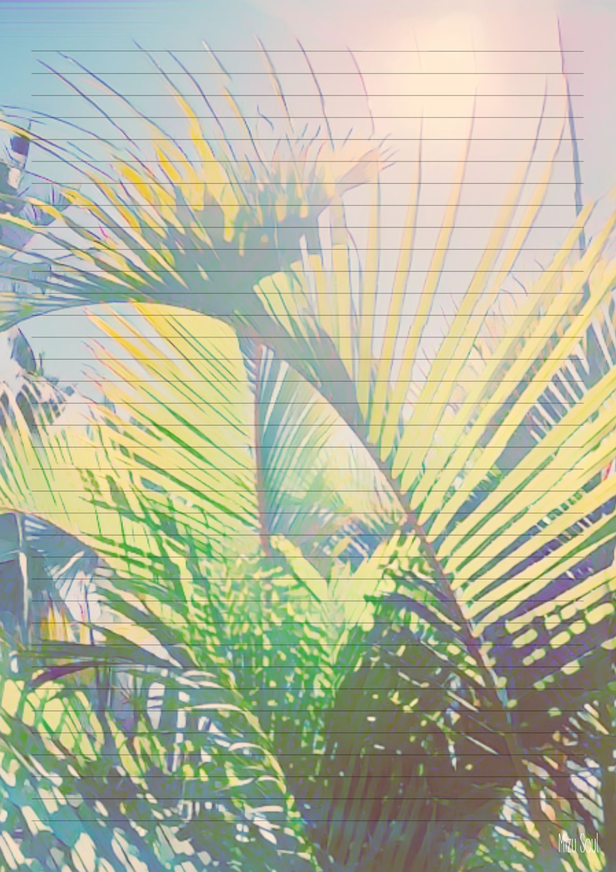 STATIONARY - fern