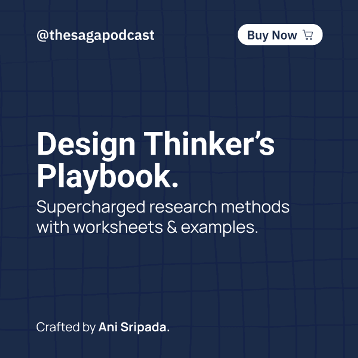 Design Thinker's Playbook - Build, Launch and Pitch