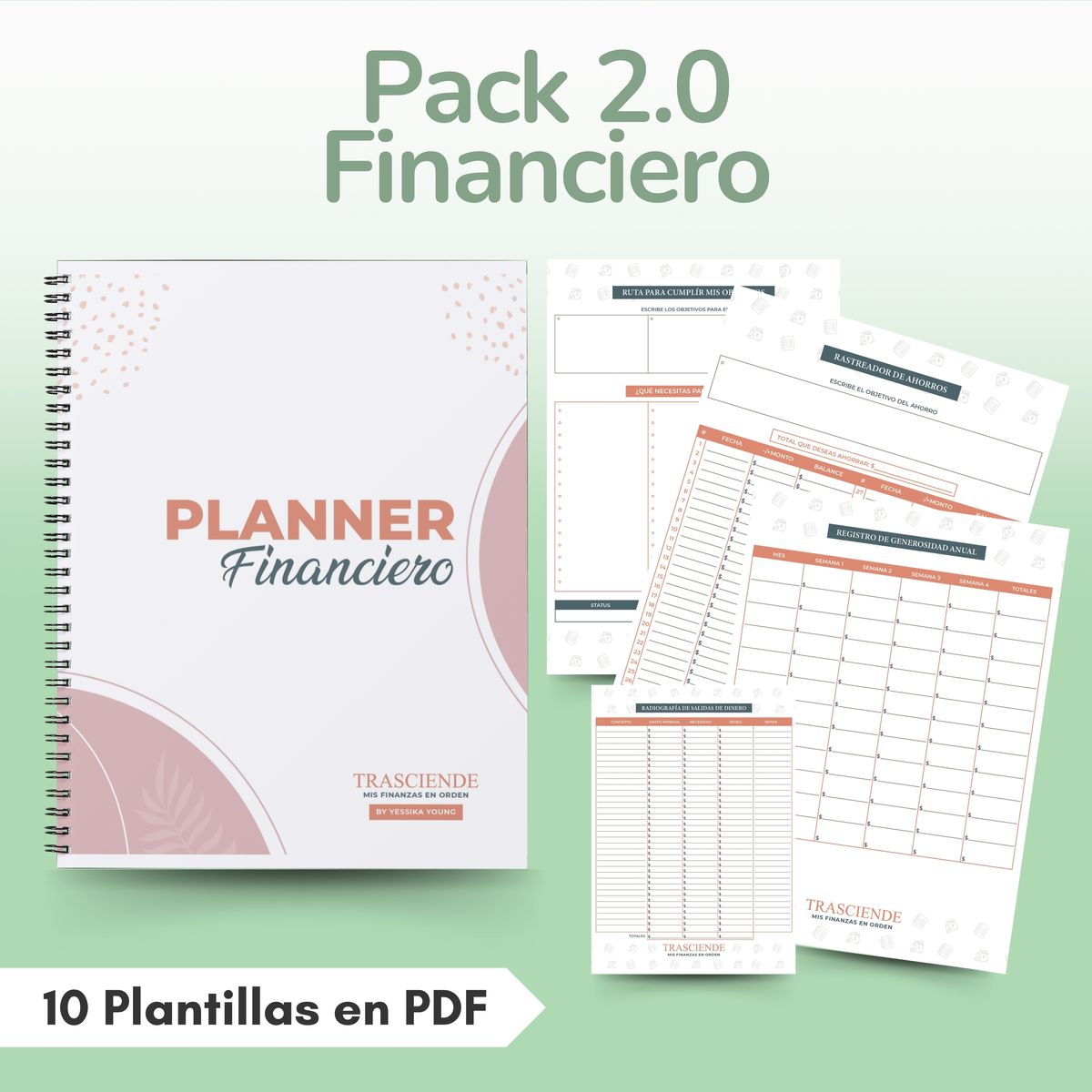 Pack de 10 Plantillas para organizar el dinero - Disponible en PDF