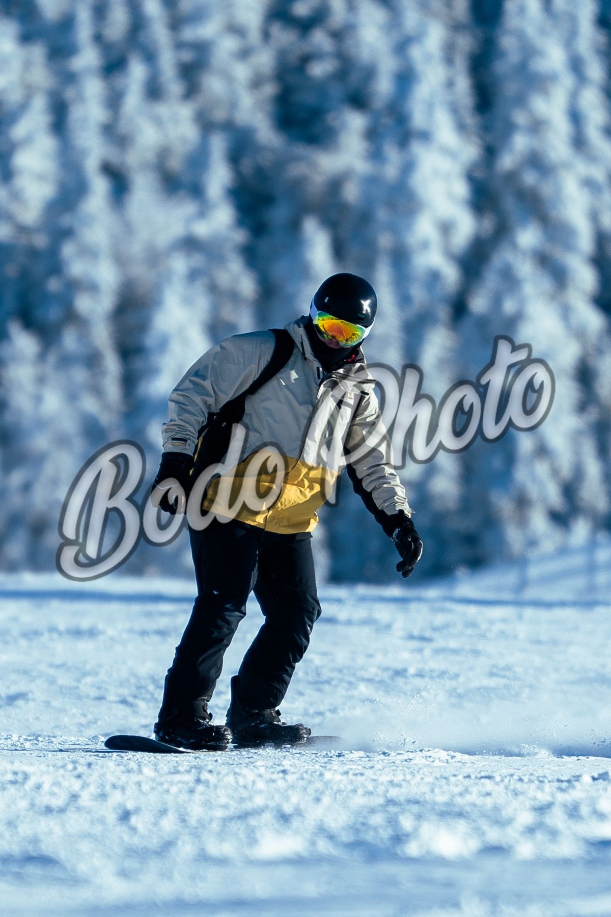 Download ( 14 Ianuarie )