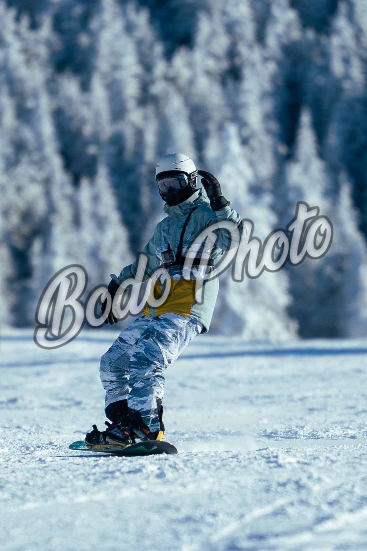 Download ( 14 Ianuarie )