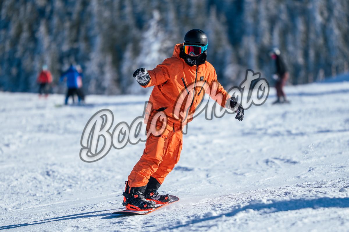 Download / Descărcare ( 09 Februarie )
