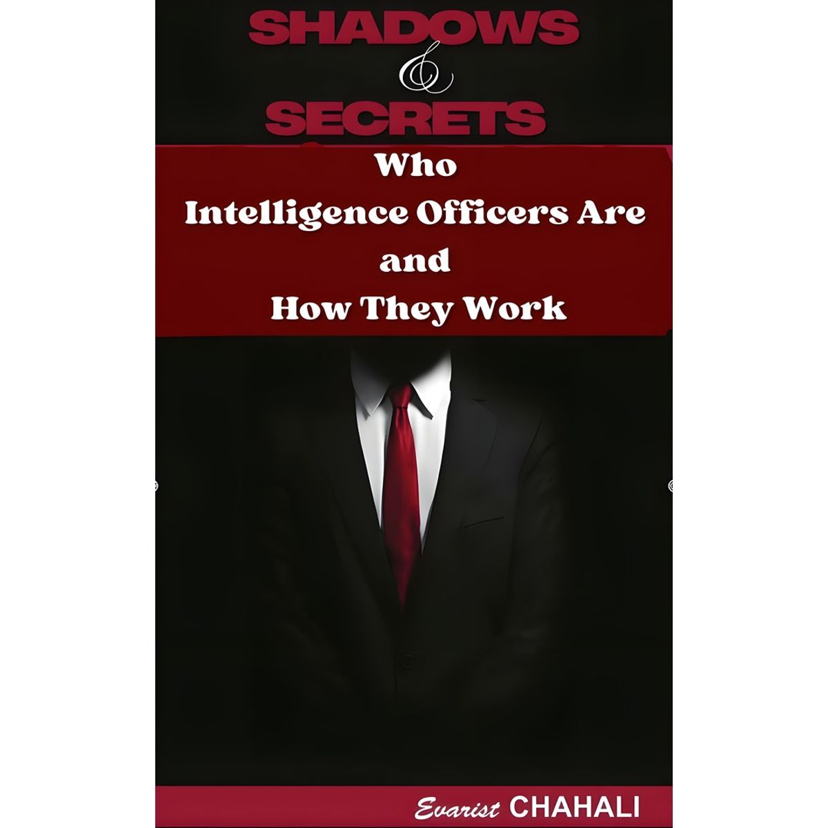 Shadows And Secrets: Who Intelligence Officers Are and How They Work (E-Book)