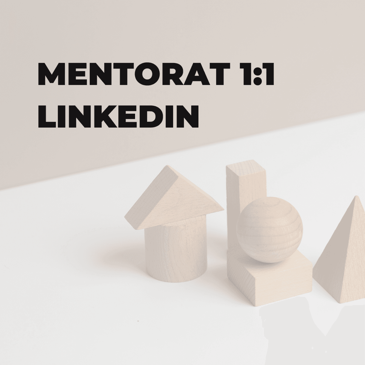 Mentorat 1:1 LinkedIn &radic; Cum să devii Vizibil, Conectat și Relevant