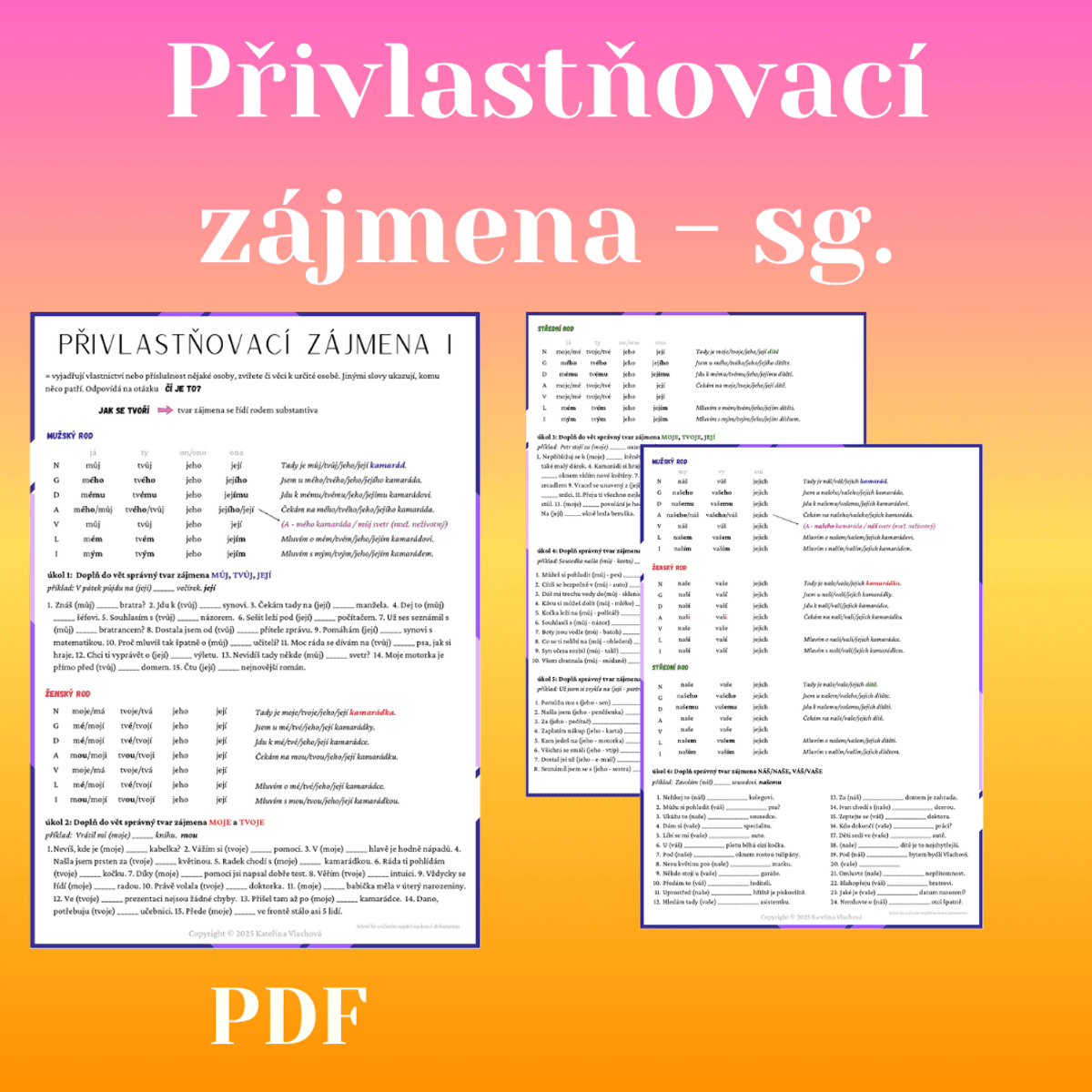 Privlastnovaci zajmena I