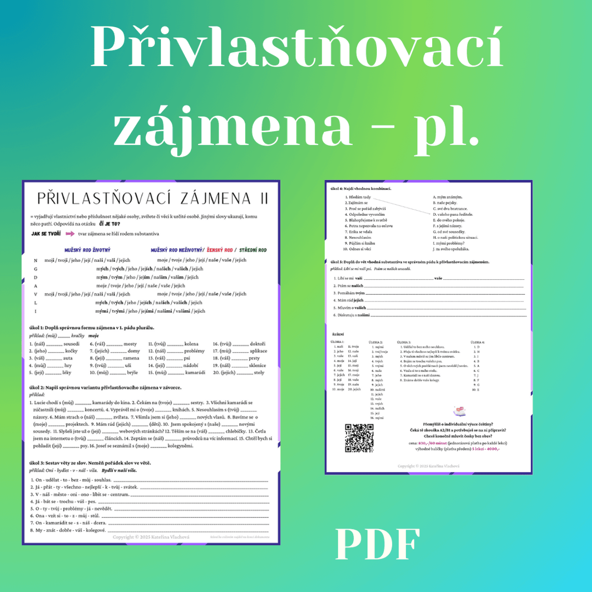 Privlastnovaci zajmena II